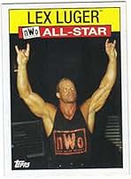 レアnWo WCW playing card トランプ　新品　未使用 WCW DDP Shiny Holo Nitro Trading Card RARE 2000 WWF WWE | eBay
